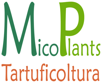 Mico Plants Tartuficoltura - Produzione e vendita di piante micorrizate