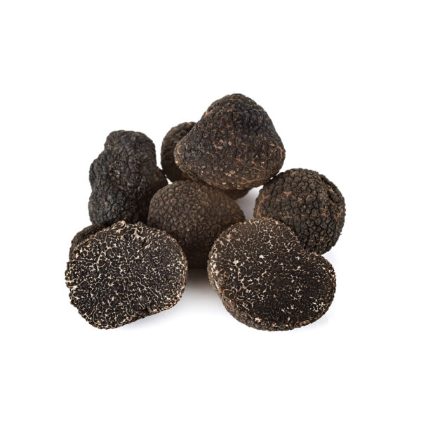 Tartufo nero pregiato - Mico Plants Tartuficoltura - Produzione e vendita di piante micorrizate